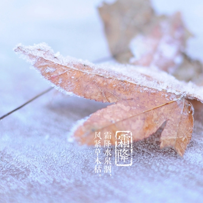 印章制作大师v11.0绿色特别版｜印章制作新篇章，大师v11.0绿色版引领行业风潮-3