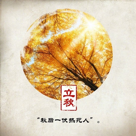 水管工传说｜水管工逆袭：从平凡岗位到行业传奇，激励无数人追梦-3