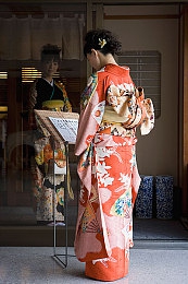 世界顶级菠萝蜜品种｜甜蜜探险：世界菠萝蜜大揭秘-3