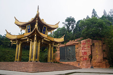 1995激战丛林珍妮和泰山｜丛林王者：泰山与珍妮激战传奇