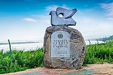 公和我做爽死我了A片AABB,网络语言的狂欢与反思 让我们一起探讨背后的文化现象-2