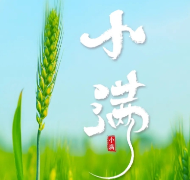迅雷如何去广告,广告清除大师：数字世界的守护者-3