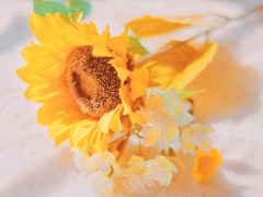 萝莉影视｜萝莉影视新趋势：青春梦幻市场洞察与未来展望-3