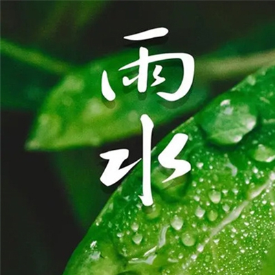 q1污：知名企业Q1财报造假,环保违规引发社会热议-4