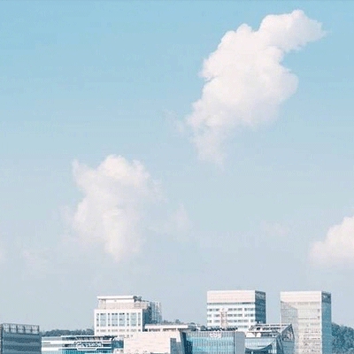 同性恋搞基网站：同性恋网络平台兴起,隐私与监管成焦点-3
